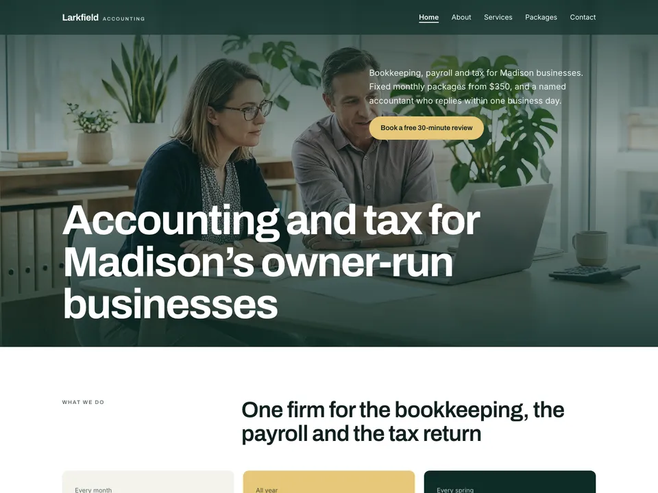 A sample accountants website